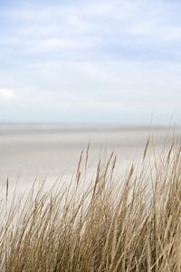 Meer, blauer Himmel, Dünen, Grashalme auf Schiermonnikoog | Natur Kunstfoto von Karijn | Fine art Natuur en Reis Fotografie