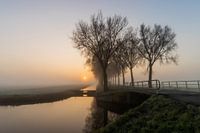 Polder tijdens een mistige zonsopkomst