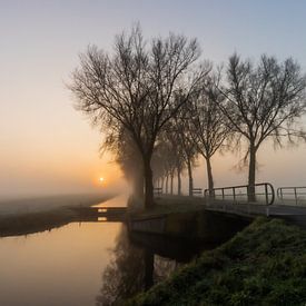 Polder lors d'un lever de soleil brumeux sur Paul Veen