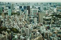 De Tokio (Tokyo) skyline met hoog contrast. van Claudio Duarte thumbnail