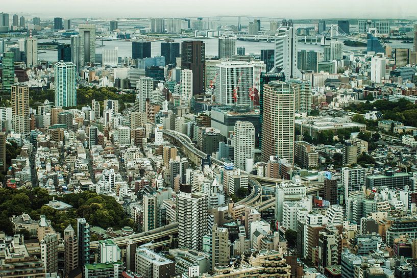 De Tokio (Tokyo) skyline met hoog contrast. van Claudio Duarte