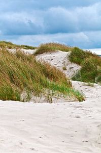 Verträumte Düne an der Nordsee in Dänemark 
