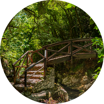 Bruggen bouwen van Zahra Bierman