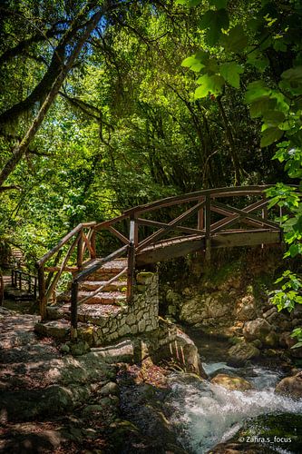 Construire des ponts sur Zahra Bierman