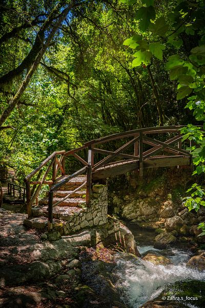 Building bridges by Zahra Bierman