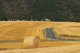 Le rythme de la campagne sur Sebastian Stef
