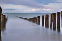 De uitgestrektheid van de zee
