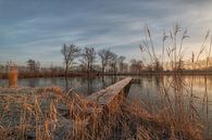 Steg am See von Moetwil en van Dijk - Fotografie Miniaturansicht