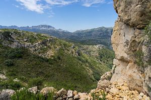 Grüne Berglandschaft und Felsen
