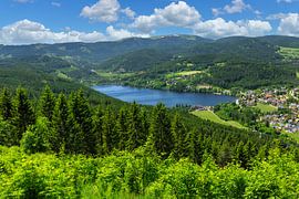 Summer day in the Black Forest by Markus Lange