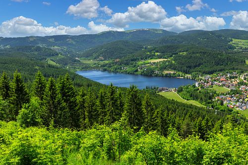 Summer day in the Black Forest