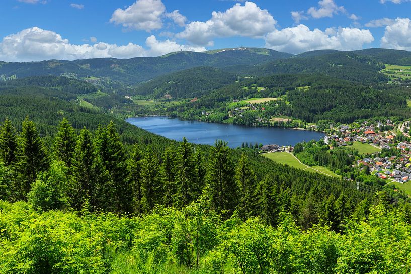 Summer day in the Black Forest by Markus Lange