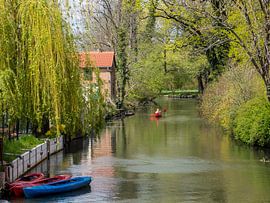 Holiday in the Spreewald in Brandenburg by Animaflora PicsStock