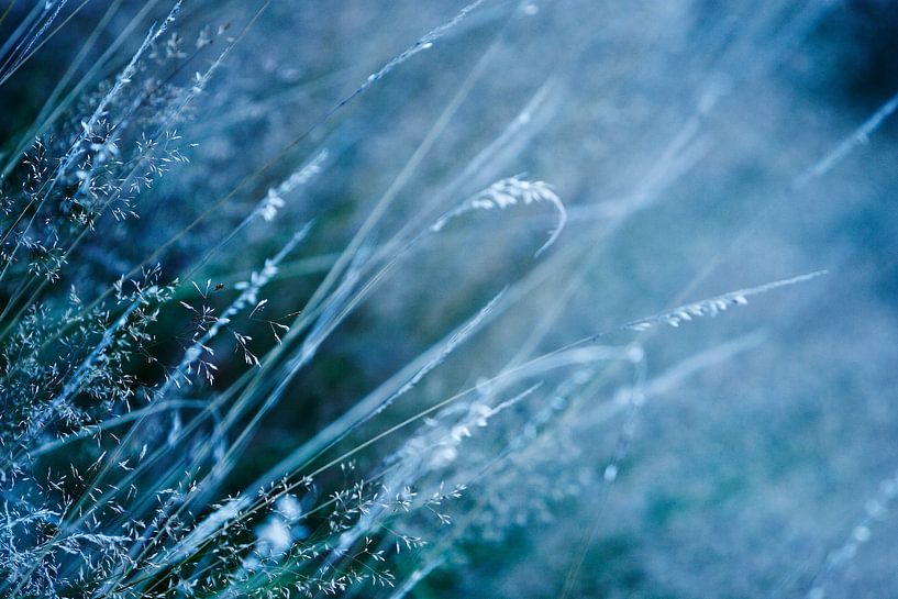 Volgt by Anouk Timmerman