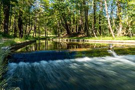 Amsterdamse waterleidingduinen van Beeldgeluk
