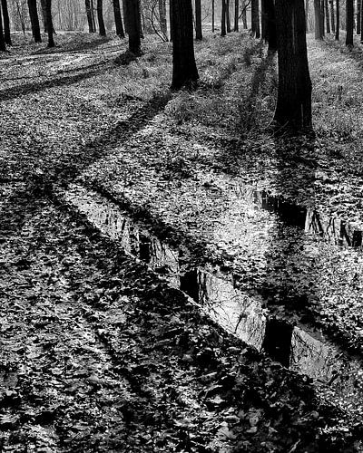 Thinking of M.C. Escher