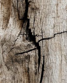 Rissiges Holz voller Geschichten von Vlindertuin-Art