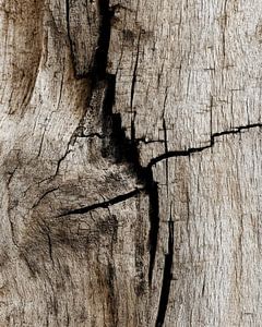 Rissiges Holz voller Geschichten