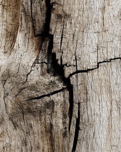 Cracked wood full of stories by Vlindertuin-Art