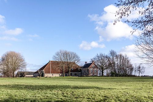 Friese kop hals romp boerderij