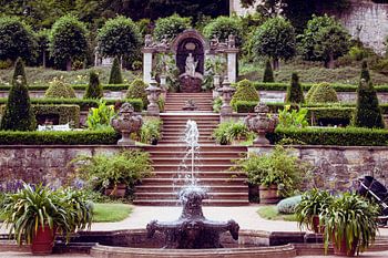 The Garden of Eden