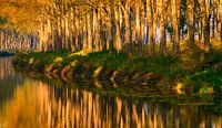 4033 Damse Vaart II