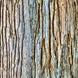 Driftwood, surface texture by Susanne Kanamüller