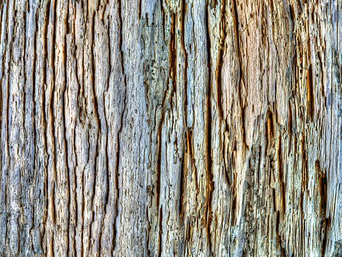 Driftwood, surface texture by Susanne Kanamüller