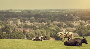 Uitzicht op kerkdorpje Simpelveld