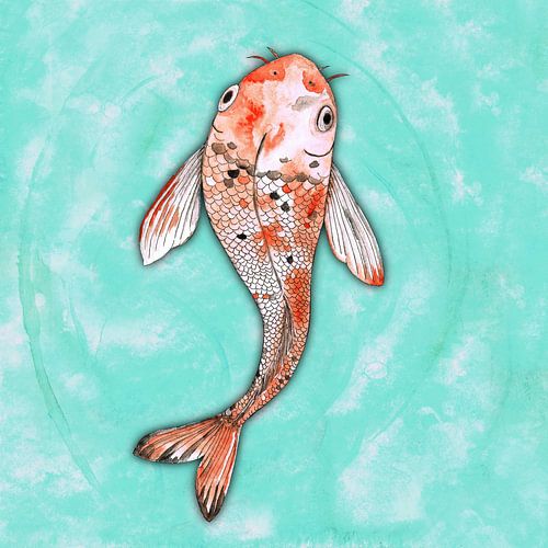 Koi karper