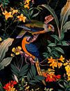 Des perroquets multicolores dans la jungle de minuit par Floral Abstractions Aperçu