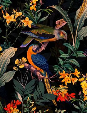Des perroquets multicolores dans la jungle de minuit sur Uta Naumann
