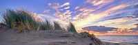 sunset over the dune landscape