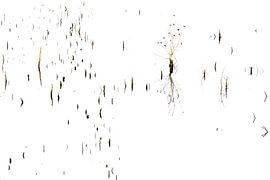 verdronken land van Ronald Hofmeester