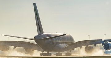 Emirates Airbus A380 mit United for Wildlife-Lackierung. von Jaap van den Berg