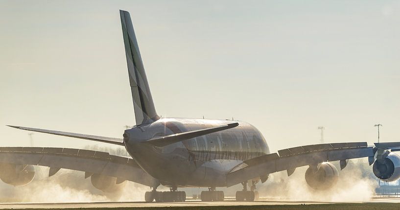 Airbus A380 d'Emirates aux couleurs de United for Wildlife. par Jaap van den Berg