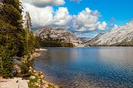Tenaya Lake in Yosemite National Park Californië USA van Dieter Walther thumbnail