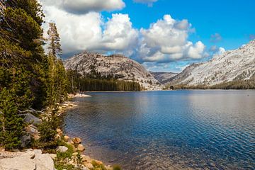 Tenaya Lake in Yosemite National Park Californië USA van Dieter Walther