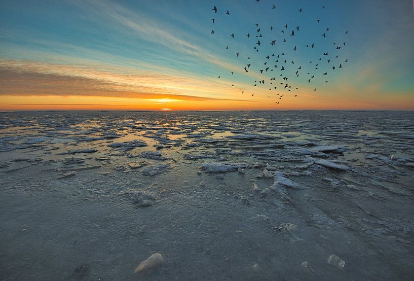 Eisfeld von peterheinspictures