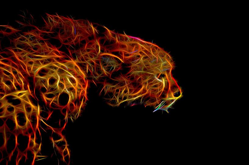 Cheetah in flames by Leo Huijzer