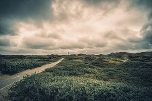 Der Weg zum Leuchtturm