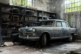 Abandoned classic car - Alpha Romeo