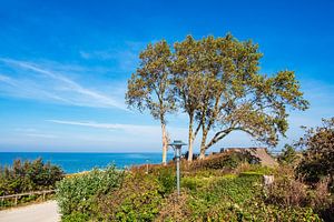 Ostseeküste auf dem Fischland-Darß in Ahrenshoop
