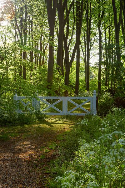 Spring on Ter Hooge (Middelburg) by Jesse Bakker