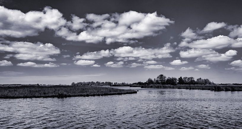 Het Wormer en Jisperveld van Hans de Waay