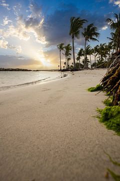 Plage de Sainte Anne, Caribisch strand op Guadeloupe van Fotos by Jan Wehnert