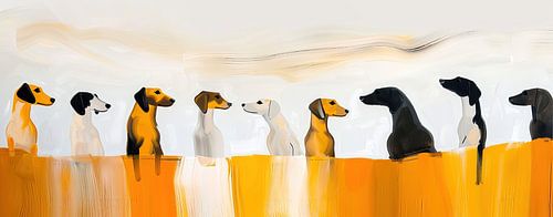 Dogs in a row look at each other