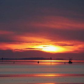Chantal Nieuwenhuizen profielfoto