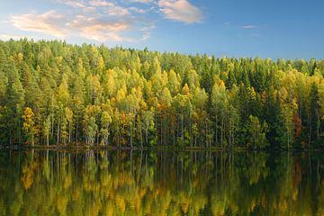 Meer in Zweden met reflectie van de bomen van Thomas Zacharias