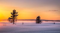 Zonsondergang in Noord Zweden van Adelheid Smitt thumbnail